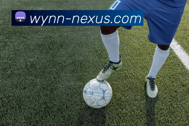 永利娱乐城APP 高清赛事图